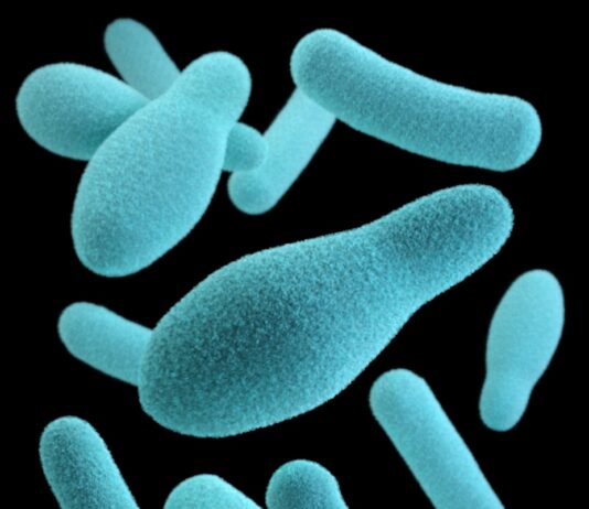 장 건강이 면역력에 미치는 영향, 그 중요성과 관리 방법 blue and white hearts illustration